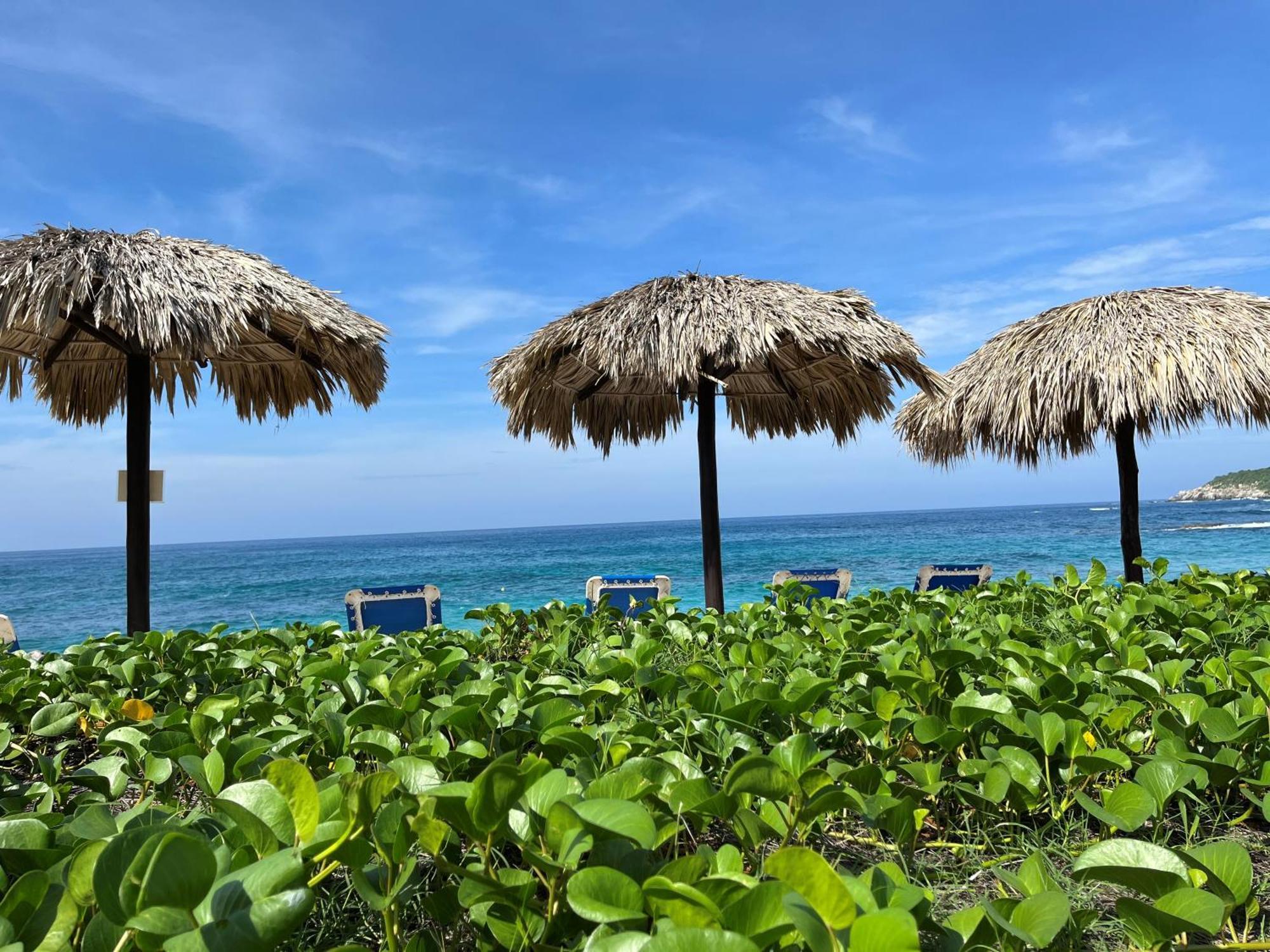 Manta Raya Hotel - Right On The Beach Cuatunalco Exteriör bild